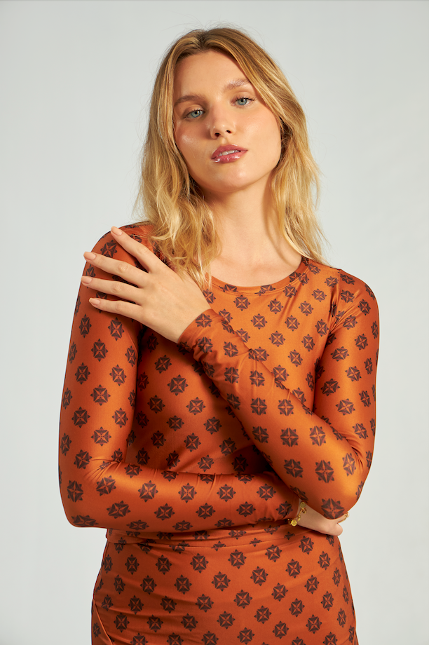 Long Sleeve Top Beehive Print